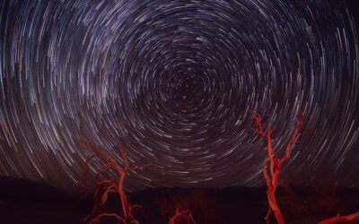 Was ist ECHO? – Eine Reise zur wahren Wurzel unserer Themen